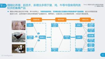 戰(zhàn)略新興產(chǎn)業(yè)的核心支柱 互聯(lián)網(wǎng)數(shù)據(jù)中心與199it數(shù)據(jù)服務(wù)